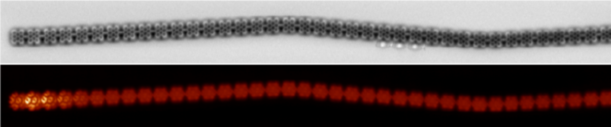 The structure of the conductive 1D polymer observed using atomic force microscopy (above). An image from a scanning tunnelling microscope showing the so-called free radicals at the end of a polymer (below). (Image by B. de la Torre)