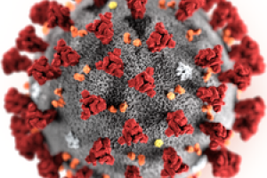 CzechNanoLab offers its capacities to fight with COVID-19 and supports research related to SARS-CoV-2