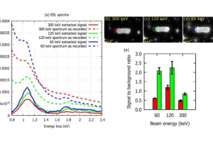 Influence of experimental conditions on localized surface plasmon resonances measurement by STEM-EELS